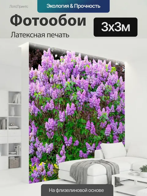 300 × 300 см · Латексная печать