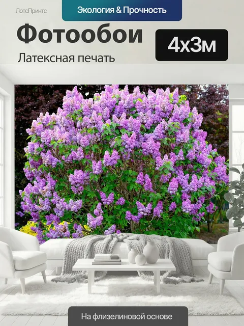 400 × 300 см · Латексная печать