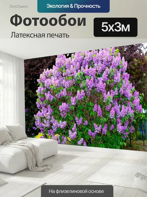 500 × 300 см · Латексная печать