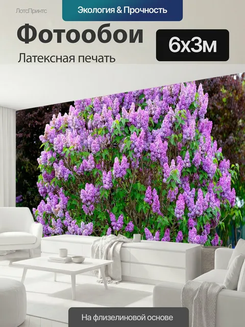 600 × 300 см · Латексная печать