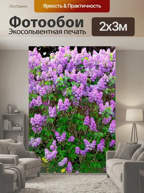 200 × 300 см · Экосольвентная печать