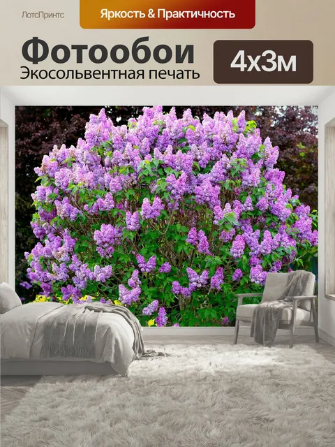 400 × 300 см · Экосольвентная печать