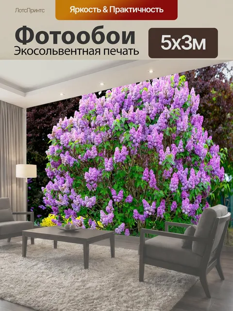 500 × 300 см · Экосольвентная печать