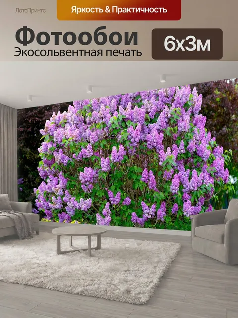 600 × 300 см · Экосольвентная печать