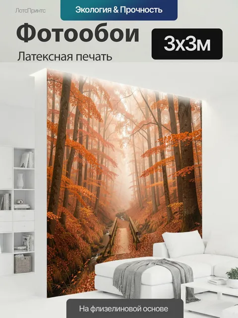 300 × 300 см · Латексная печать