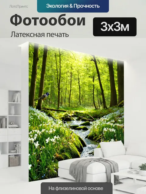 300 × 300 см · Латексная печать