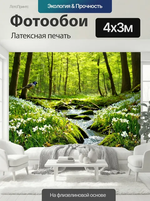 400 × 300 см · Латексная печать