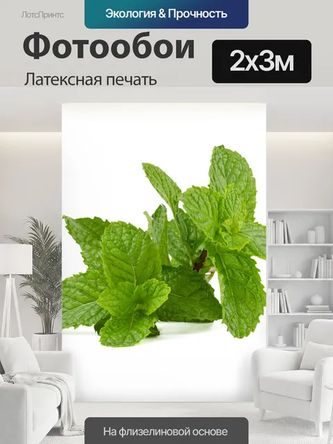 200 × 300 см · Латексная печать