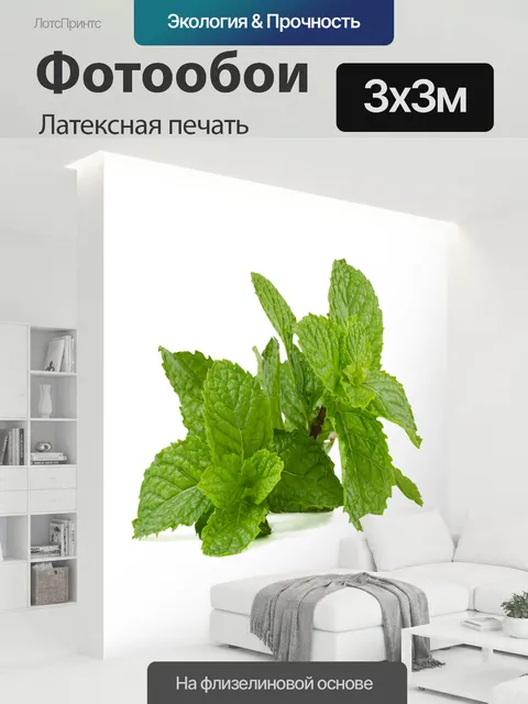 300 × 300 см · Латексная печать