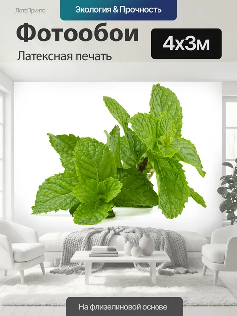 400 × 300 см · Латексная печать
