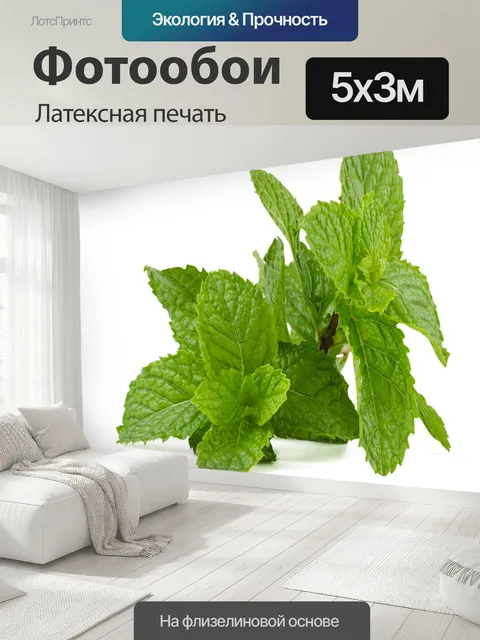 500 × 300 см · Латексная печать