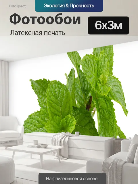 600 × 300 см · Латексная печать