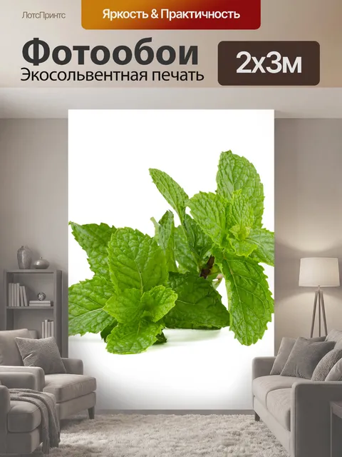 200 × 300 см · Экосольвентная печать