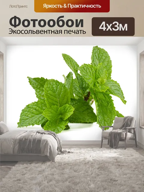 400 × 300 см · Экосольвентная печать