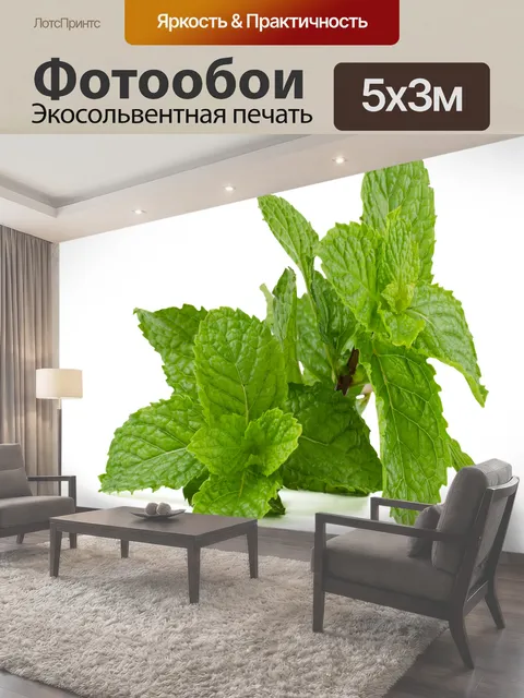500 × 300 см · Экосольвентная печать