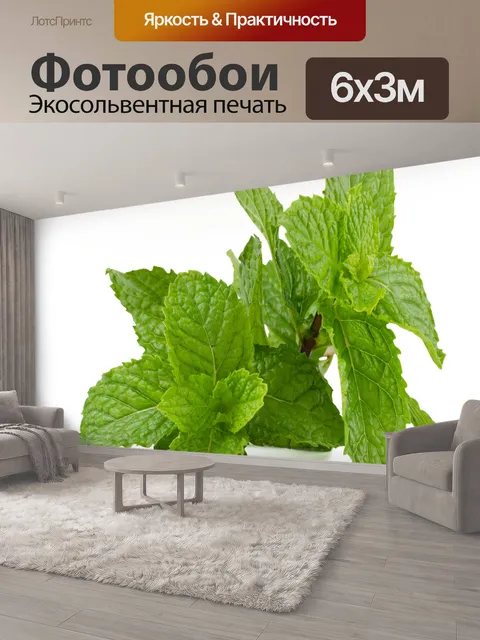 600 × 300 см · Экосольвентная печать