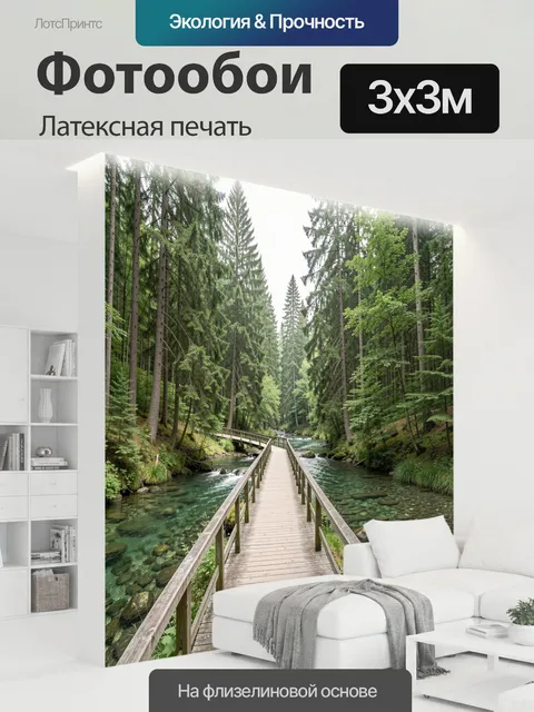 300 × 300 см · Латексная печать