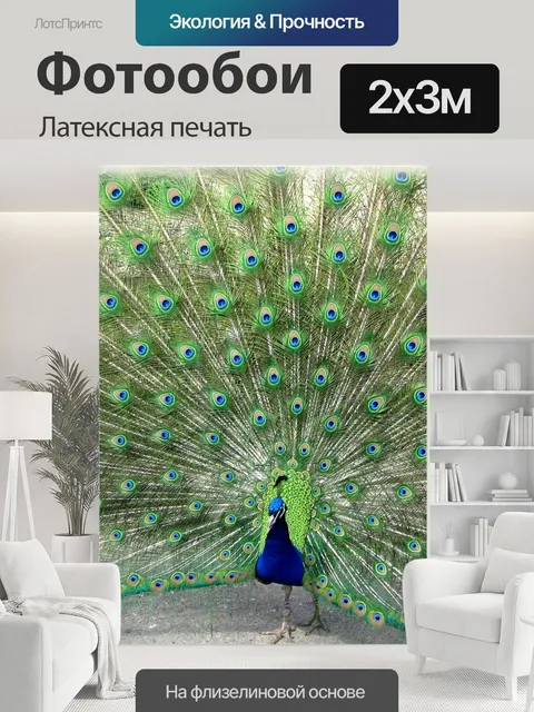 200 × 300 см · Латексная печать