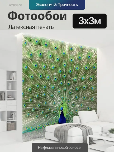 300 × 300 см · Латексная печать