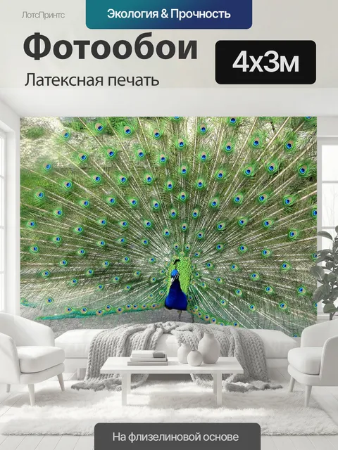 400 × 300 см · Латексная печать