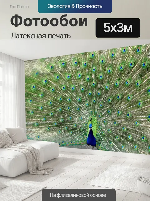 500 × 300 см · Латексная печать