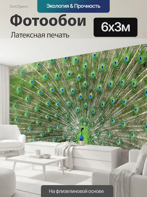 600 × 300 см · Латексная печать