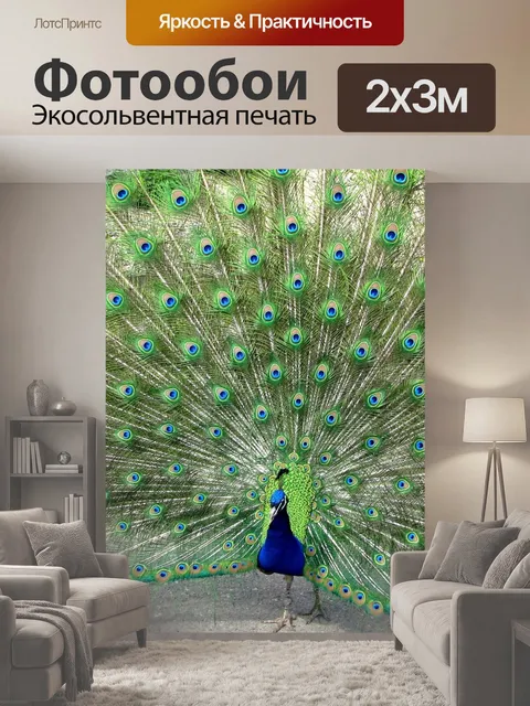 200 × 300 см · Экосольвентная печать