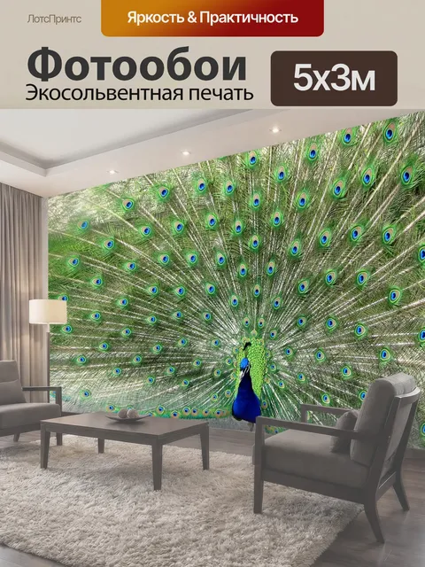 500 × 300 см · Экосольвентная печать