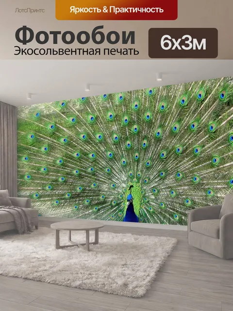 600 × 300 см · Экосольвентная печать