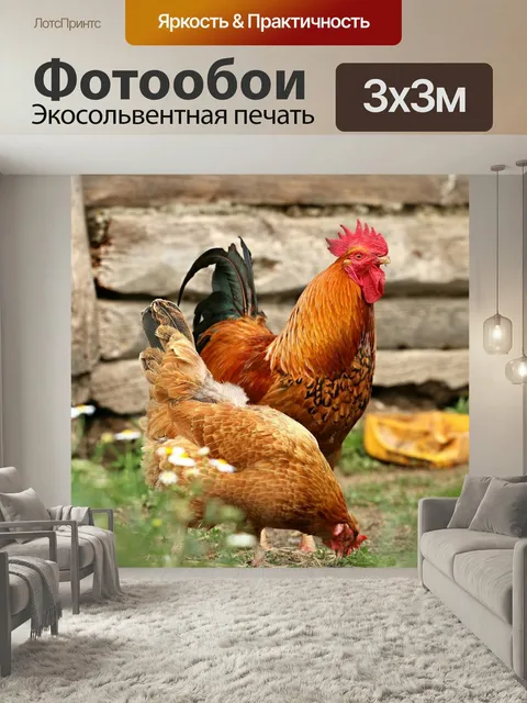 Фотообои Петух, курица, деревня