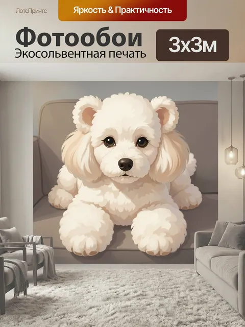 Фотообои Пушистый щенок на диване. Милый декоративный песик с кудрявой светлой шерстью, большими глазами и мягкими ушк…