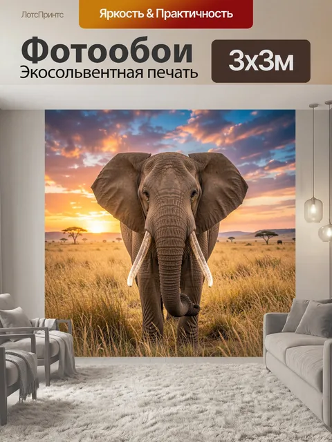 Фотообои Слон в саванне на закате