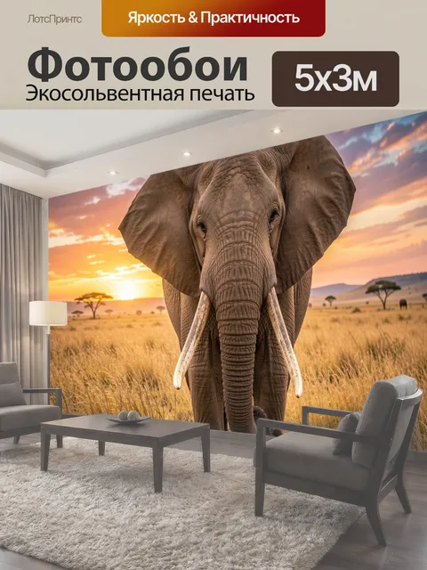 Фотообои Слон в саванне на закате