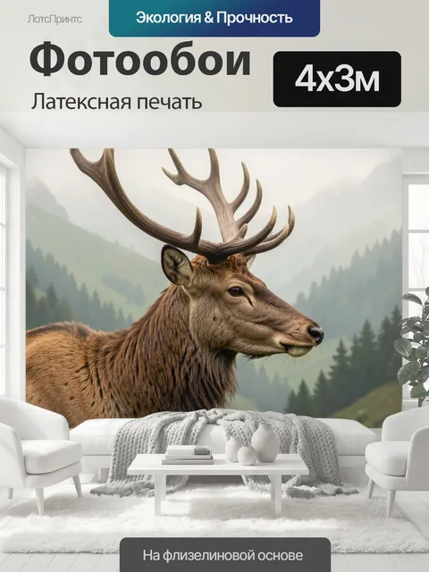 400 × 300 см · Латексная печать