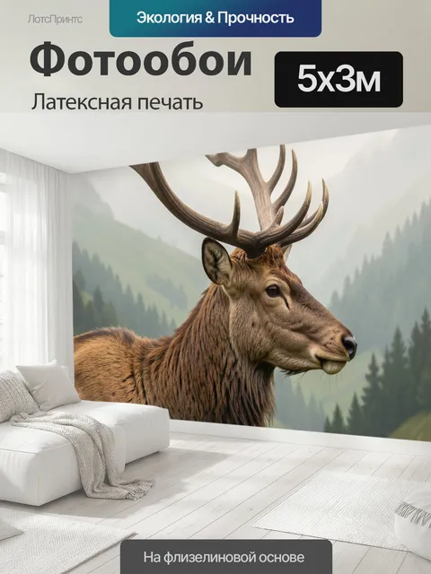 500 × 300 см · Латексная печать