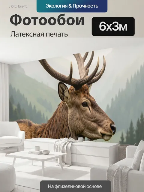 600 × 300 см · Латексная печать