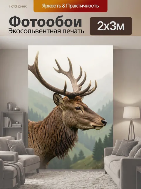 200 × 300 см · Экосольвентная печать