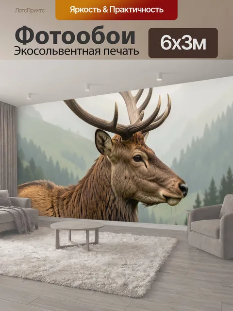 600 × 300 см · Экосольвентная печать