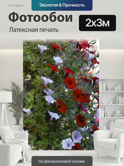 200 × 300 см · Латексная печать