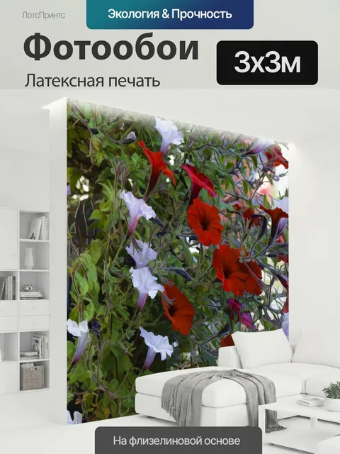 300 × 300 см · Латексная печать