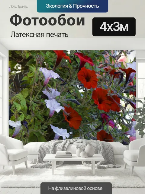 400 × 300 см · Латексная печать