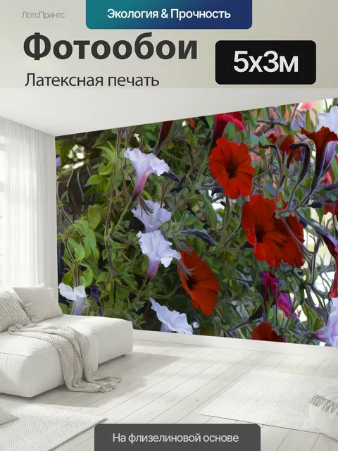 500 × 300 см · Латексная печать