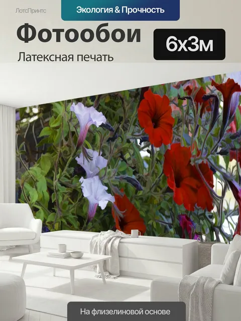 600 × 300 см · Латексная печать