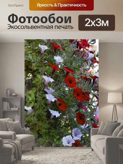 200 × 300 см · Экосольвентная печать