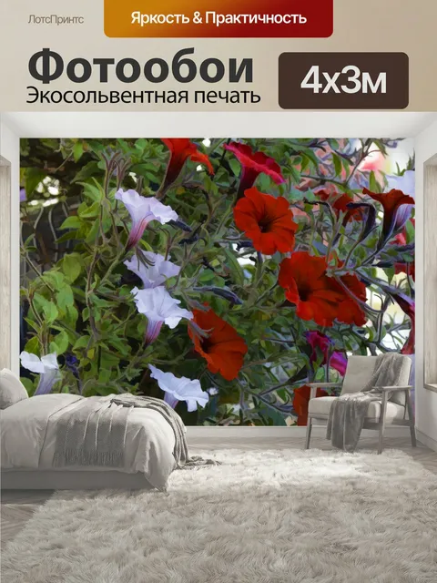 400 × 300 см · Экосольвентная печать