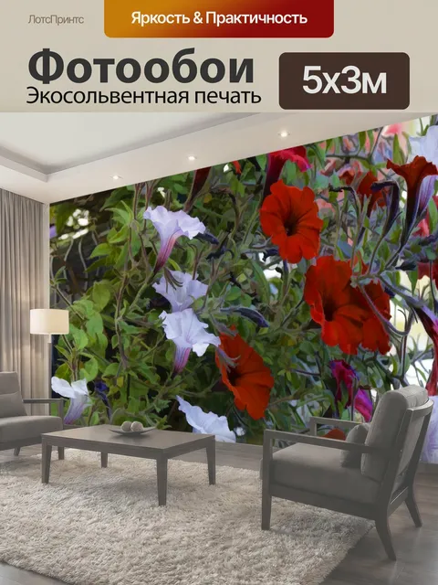 Фотообои Петуния Цветы петунии цветок