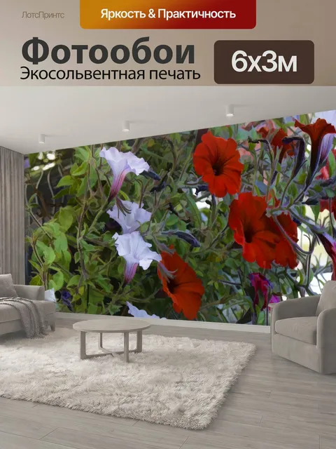 600 × 300 см · Экосольвентная печать