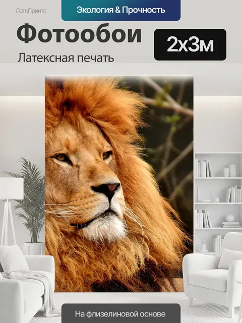 200 × 300 см · Латексная печать