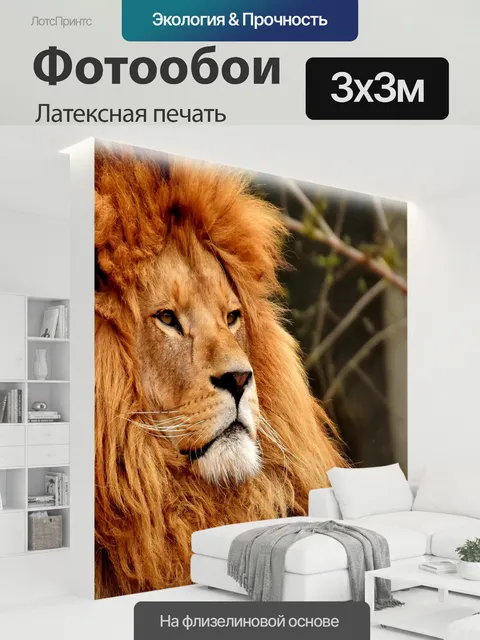 300 × 300 см · Латексная печать