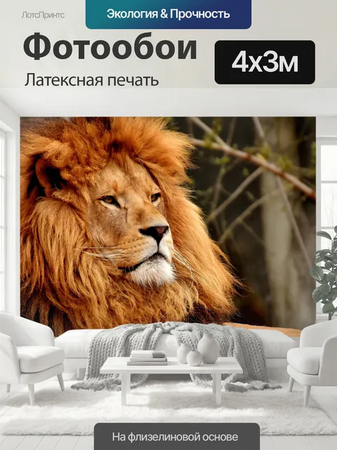 400 × 300 см · Латексная печать